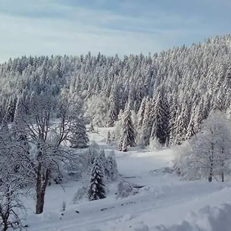 Feriehus Beau Renove Pres De La Bresse-hohneck Avec Terrasse Et Parking - Fr-1-589-264 *