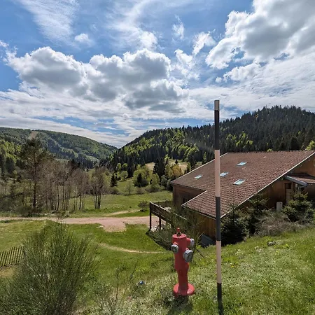 Beau Renove Pres De La Bresse-hohneck Avec Terrasse Et Parking - Fr-1-589-264 Feriehus La Bresse