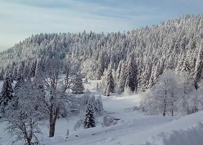 Prázdninový dům Beau Renove Pres De La Bresse-hohneck Avec Terrasse Et Parking - Fr-1-589-264 *